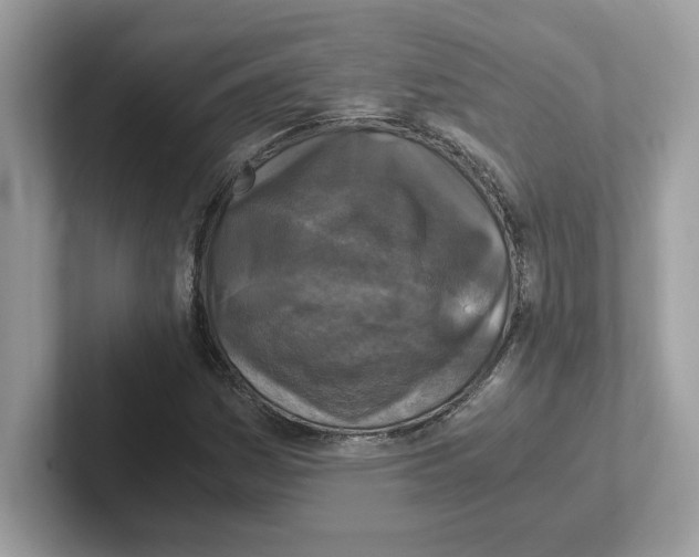 X0000100941161200807221151