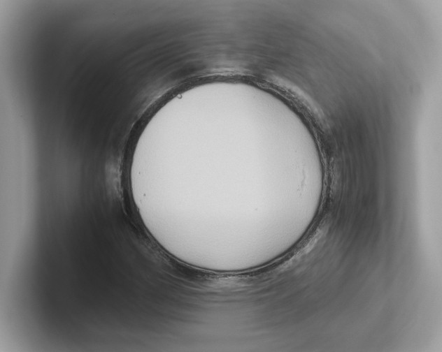 X0000100941162200807221151