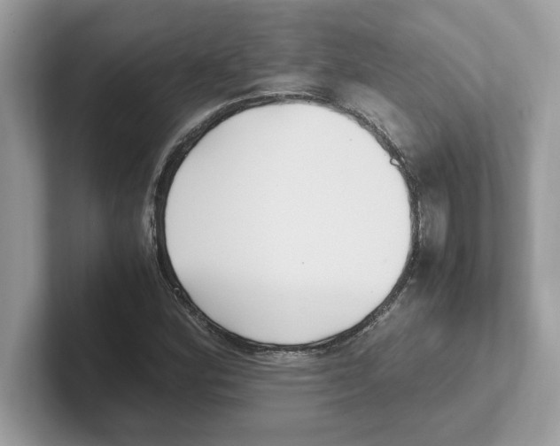 X0000100941164200807221151