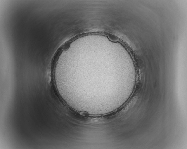 X0000100941165200807221151