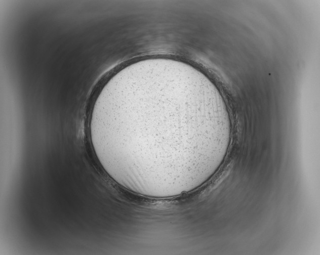 X0000100941166200807221151