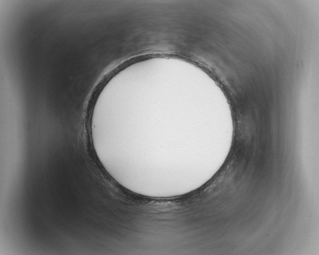 X0000100941168200807221151