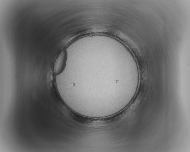 X0000100941169200807221151