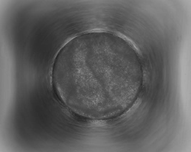 X0000100941170200807221151