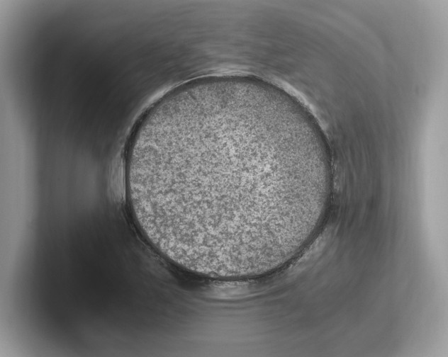 X0000100941171200807221151