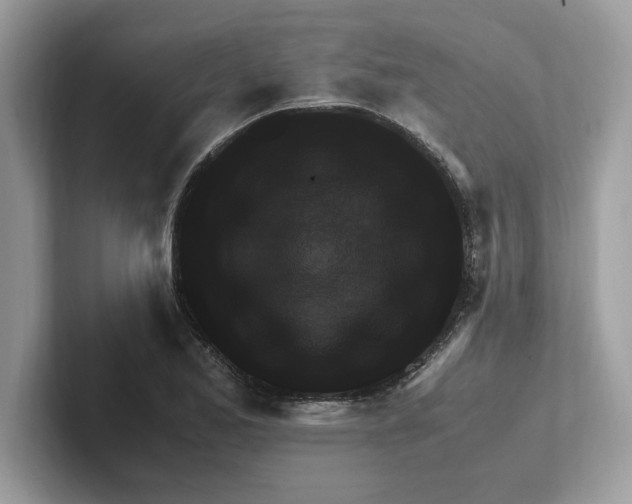 X0000100941173200807221151