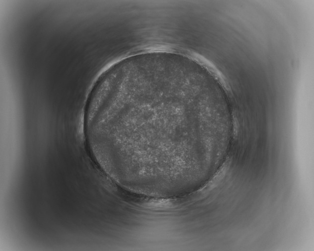 X0000100941174200807221151