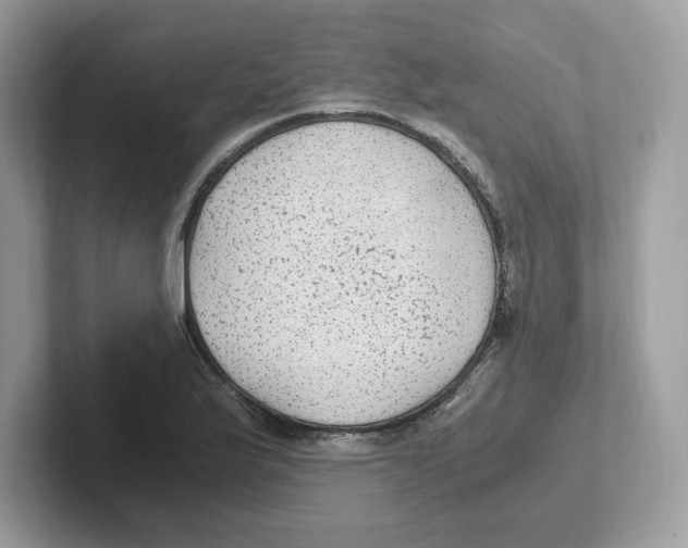 X0000100941175200807221151