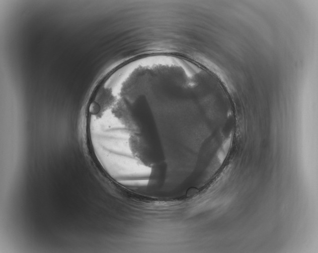 X0000100941179200807221151