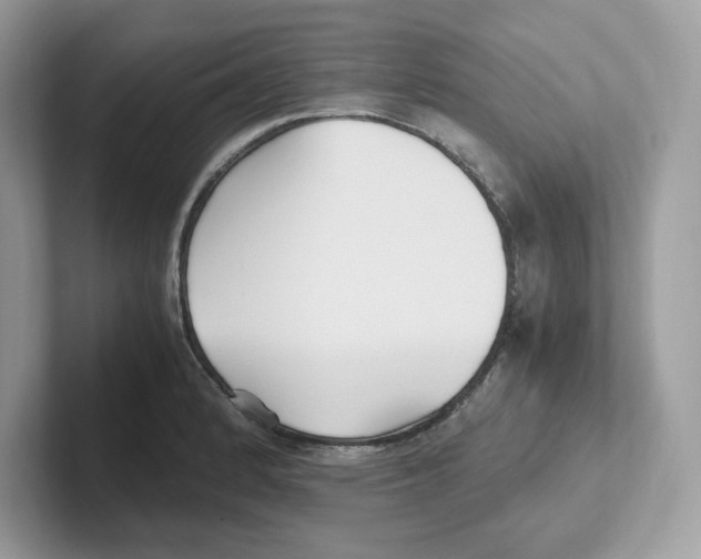 X0000100941184200807221151