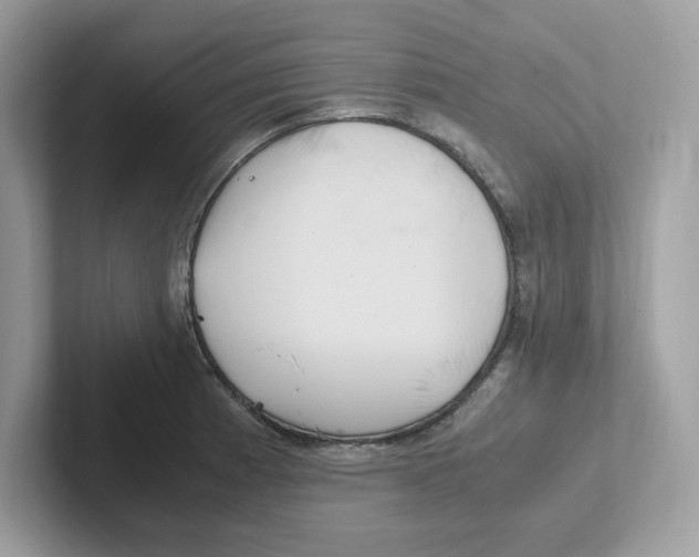 X0000100941185200807221151