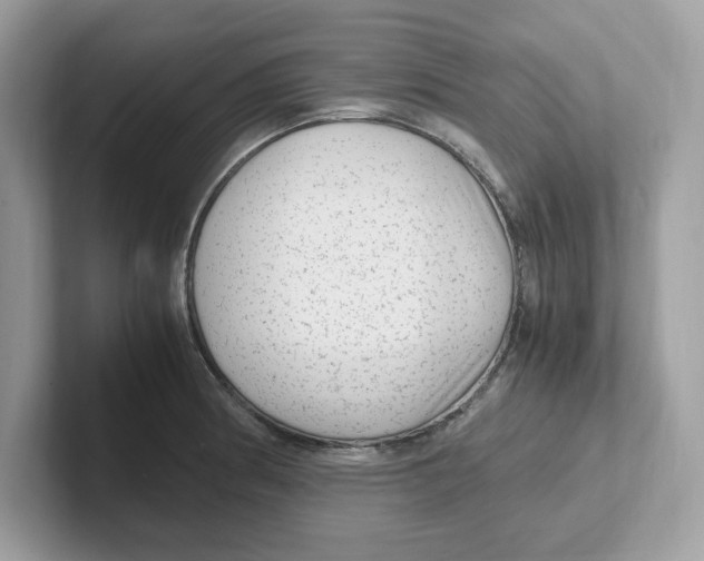 X0000100941186200807221151