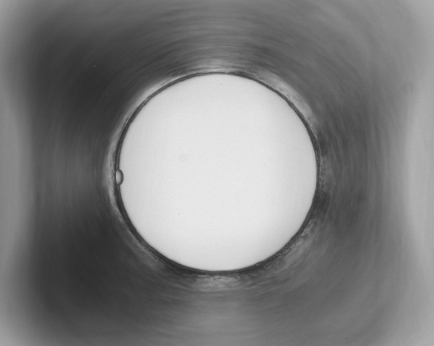 X0000100941187200807221151