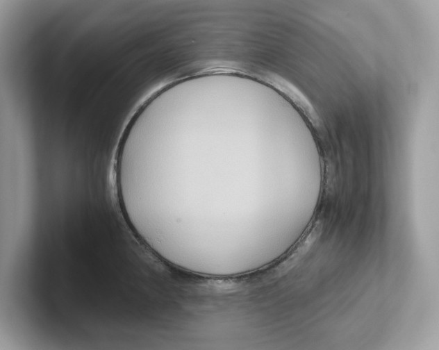 X0000100941190200807221151