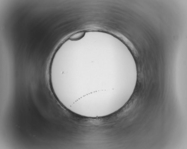 X0000100941191200807221151