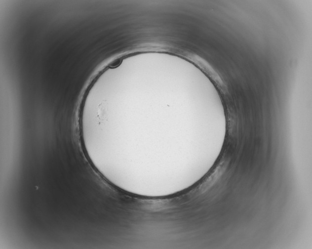 X0000100941192200807221151