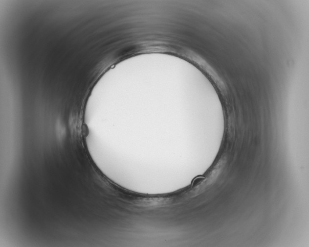 X0000100941193200807221151