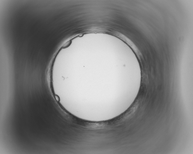 X0000100941195200807221151