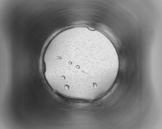 X0000100941196200807221151