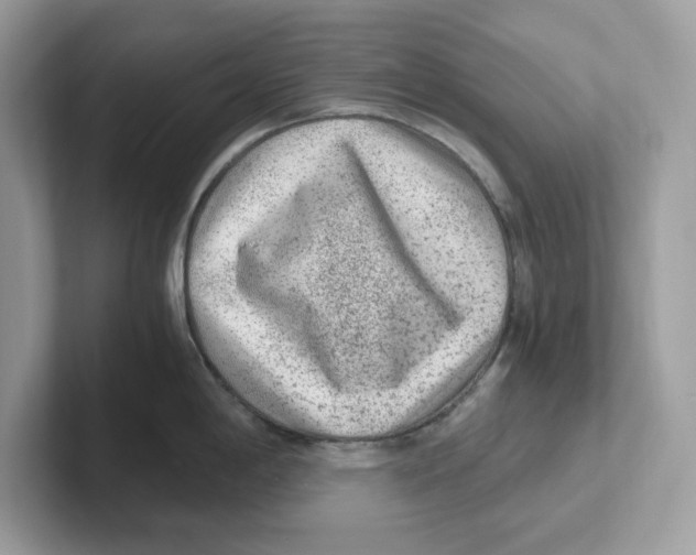 X0000100941198200807221151