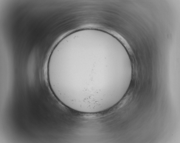 X0000100941199200807221151