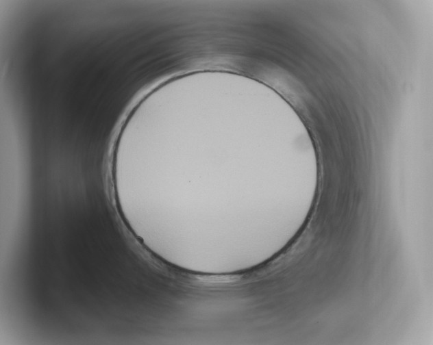 X0000100941200200807221151