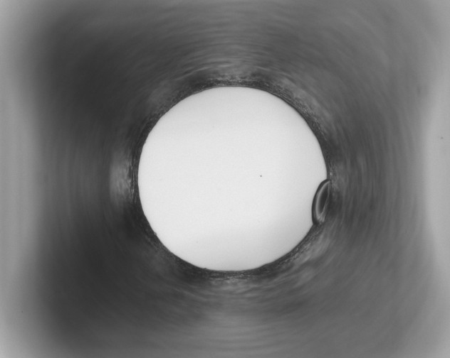 X0000100941202200807221150