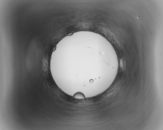 X0000100941203200807221150