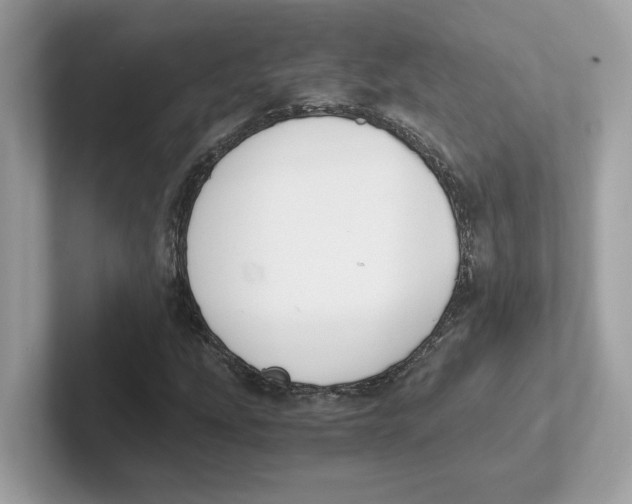 X0000100941207200807221150