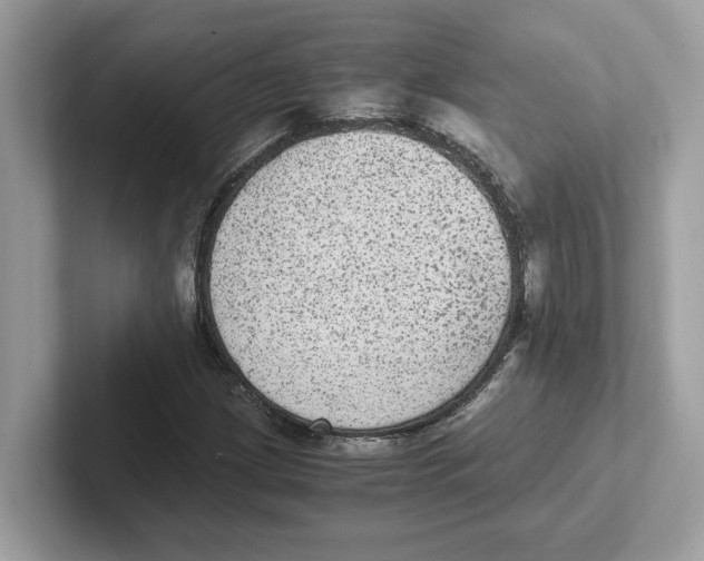 X0000100941209200807221150