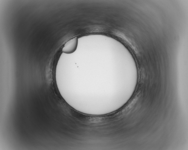 X0000100941211200807221150