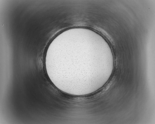 X0000100941212200807221150