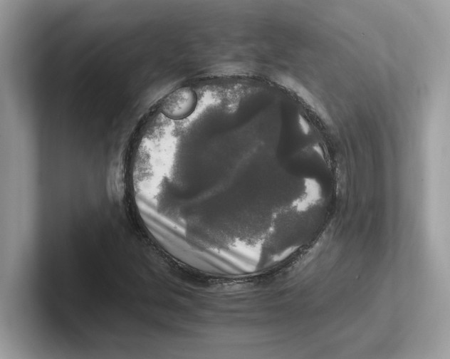 X0000100941213200807221150