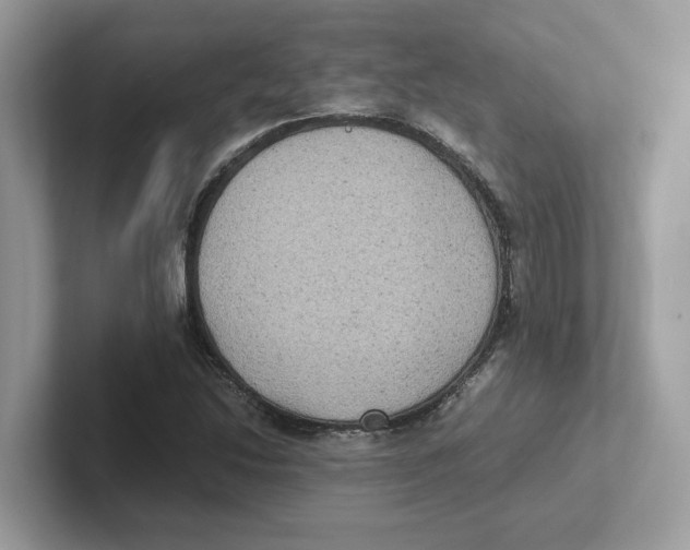 X0000100941214200807221150