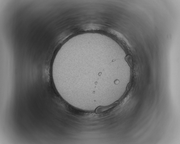 X0000100941217200807221150