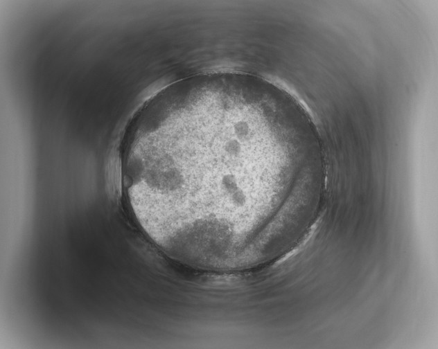 X0000100941219200807221150