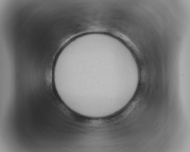 X0000100941220200807221151