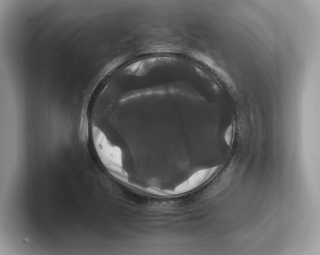 X0000100941221200807221151