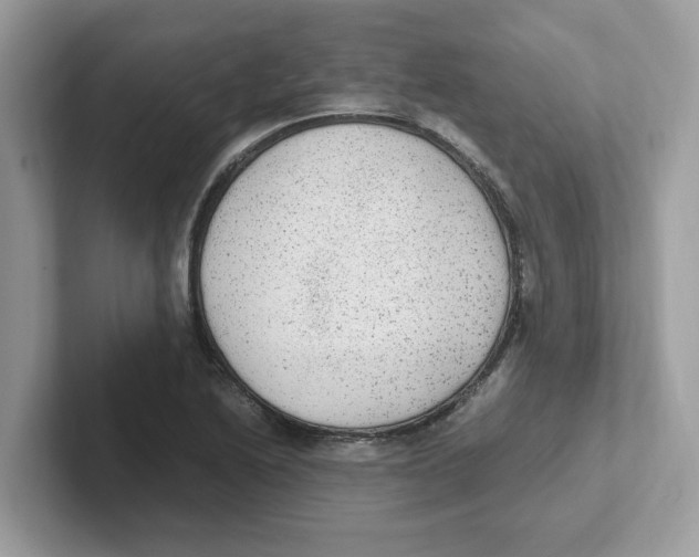 X0000100941222200807221151