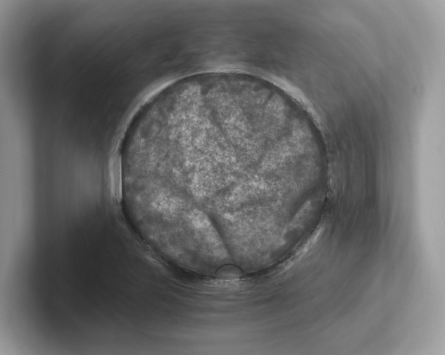 X0000100941223200807221151