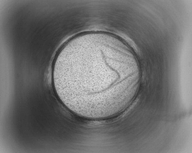 X0000100941224200807221151