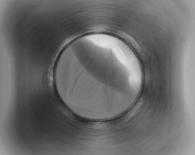 X0000100941226200807221151