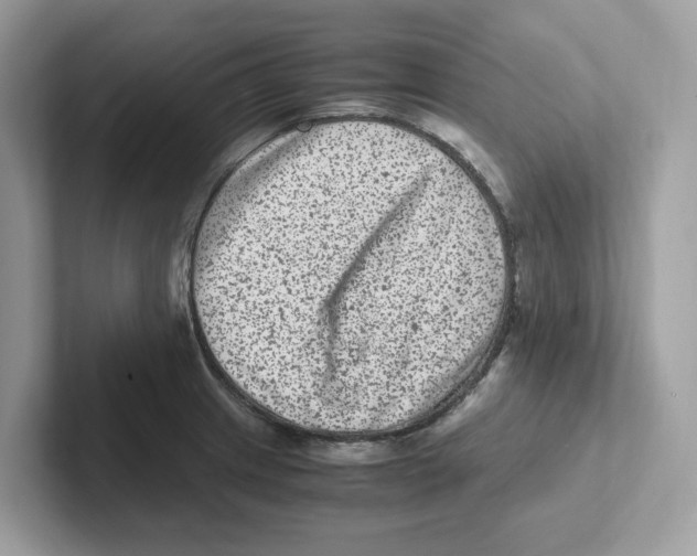 X0000100941233200807221151