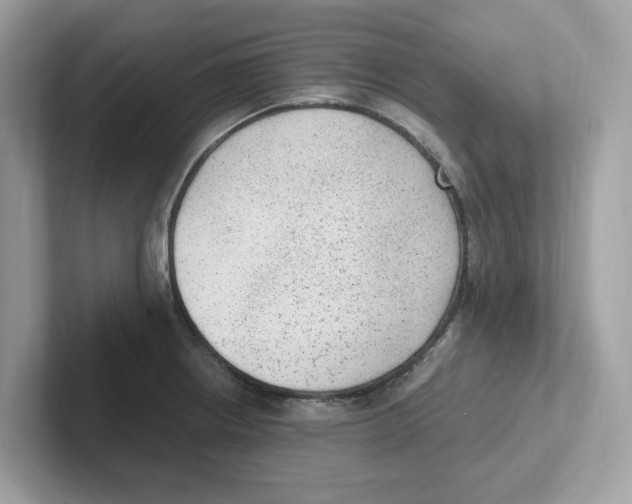 X0000100941234200807221151