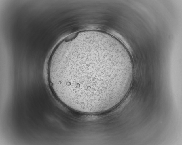 X0000100941235200807221151