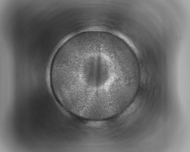 X0000100941237200807221151