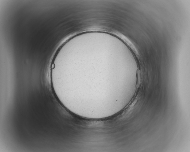 X0000100941238200807221151