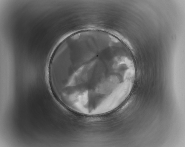 X0000100941239200807221151