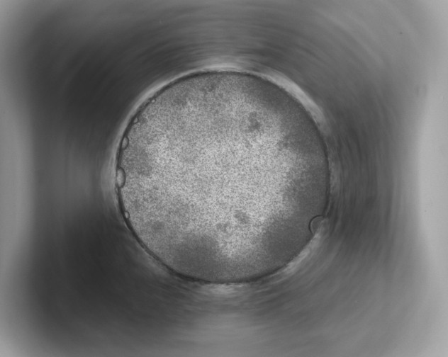 X0000100941240200807221151