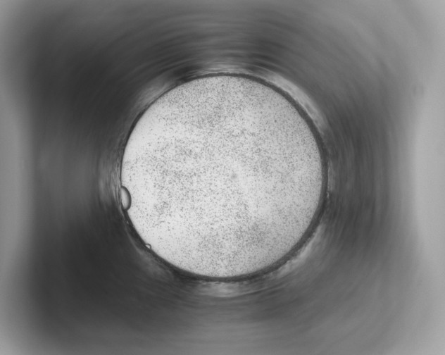 X0000100941241200807221151